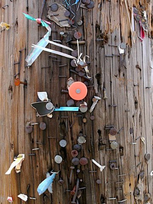 Nails in Power Pole